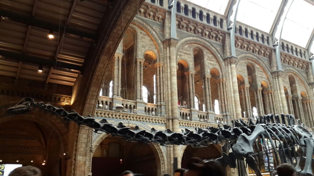 National History Museum