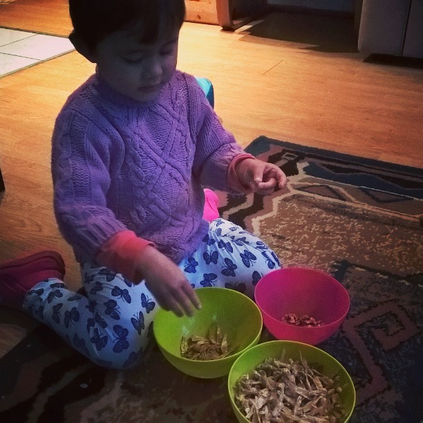 Runa nyabutin kepala ikan teri *kok kaya serem ya kesannya, nyabutin kepala haha*