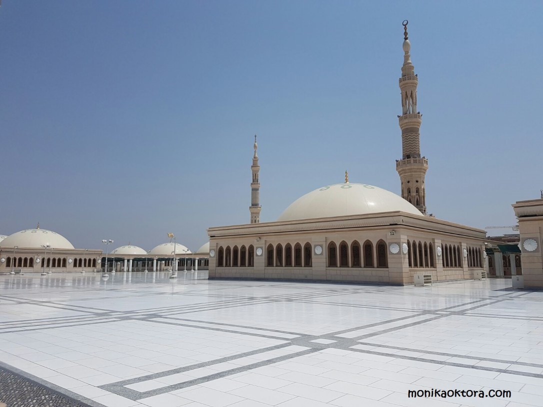 whatsapp-image-2016-12-07-at-06-28-14