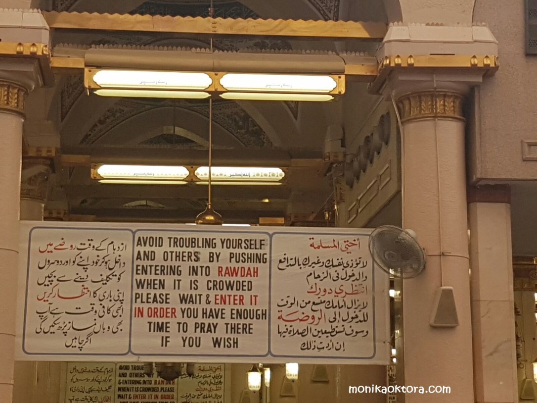 whatsapp-image-2017-01-19-at-15-59-45